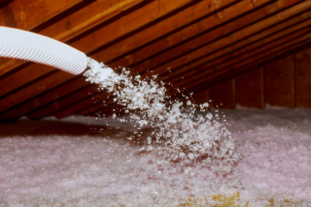 Best Energy-efficient Insulation  in Bentonville, AR